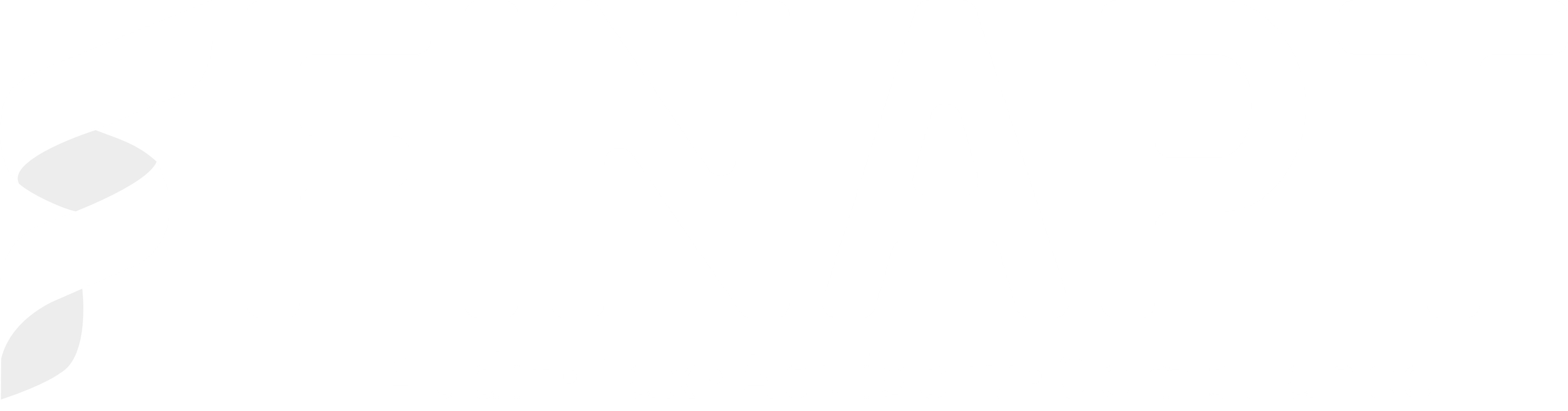 FinApt Group